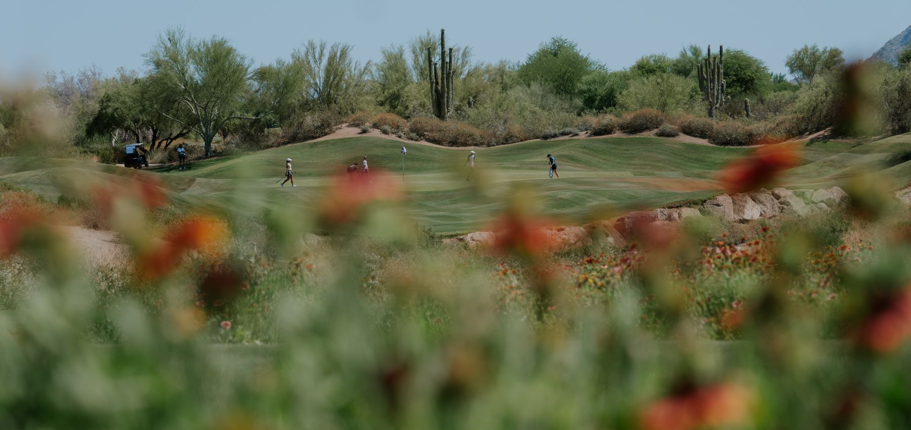 Nikki Oh Wins AZ Women’s Am on Talon